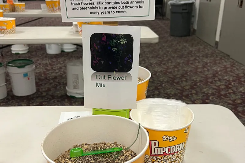Growing Sustainability: The Great American Seed Up's Mission to Empower Phoenix Through Seeds