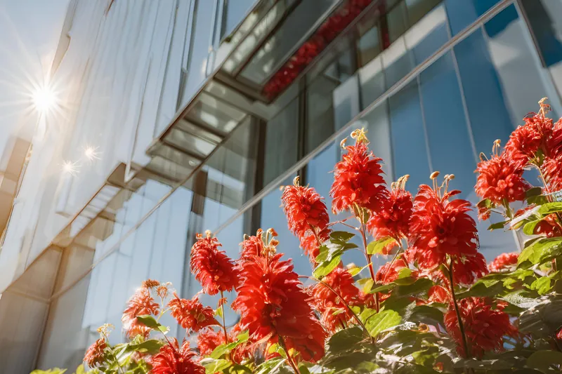 Purpose-driven Insights: CSR and Creating a Kindness Culture